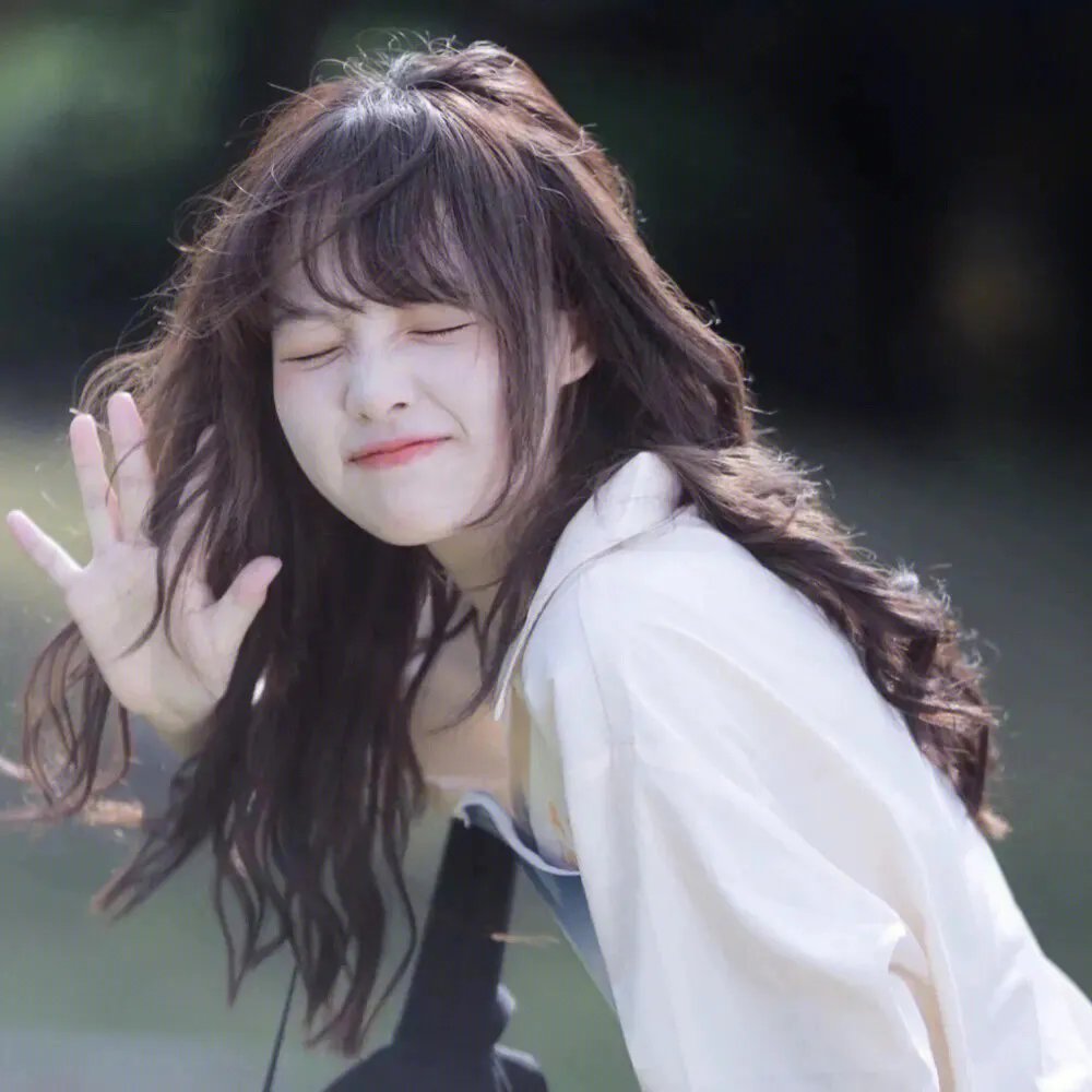 精灵宝可梦：时拉比穿越时空的相遇